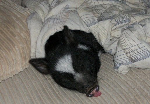 Dejar que todo el rato